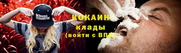spice Тайга