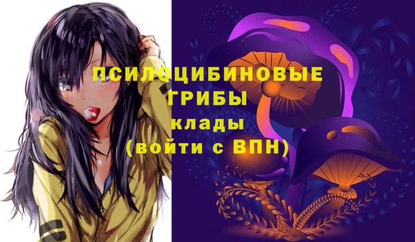 экстази Баксан