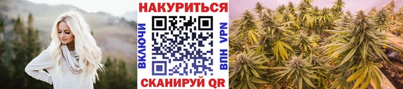 Конопля гибрид как найти закладки mega зеркало Онега